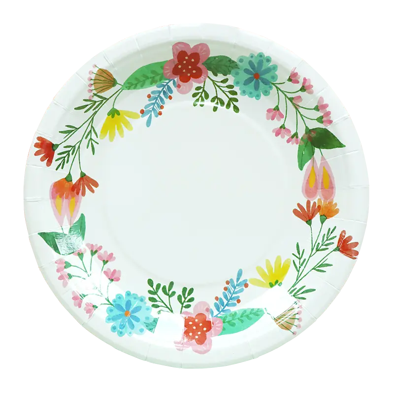 10in paper plates 56CT