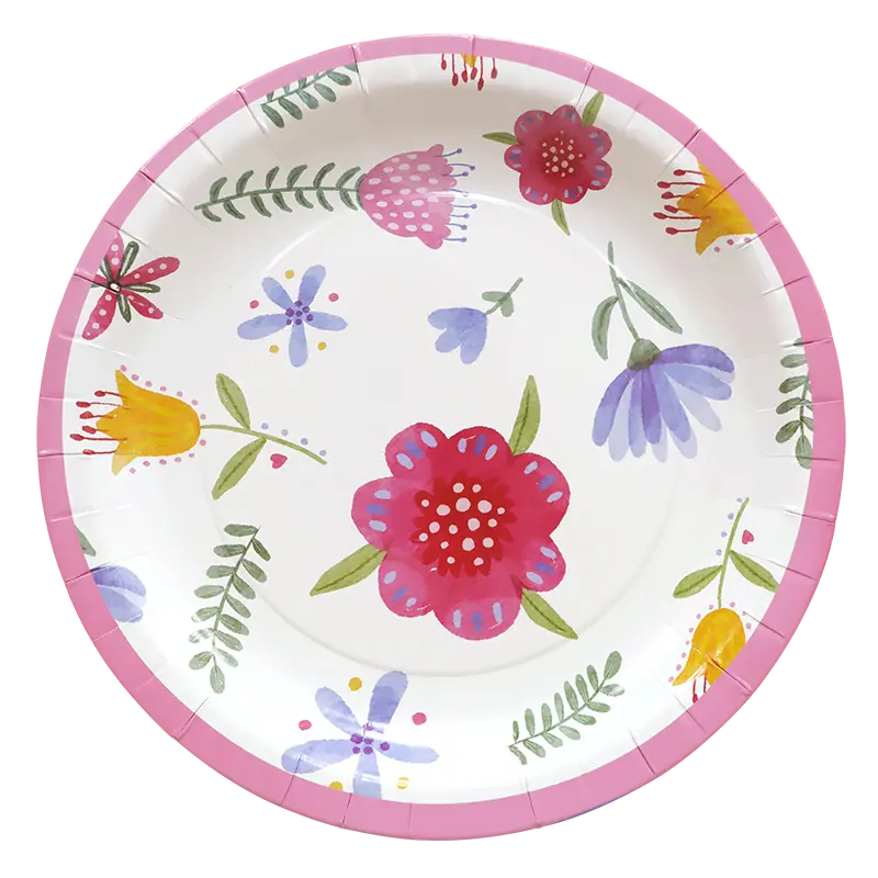 ແຜ່ນເຈ້ຍສີແຂງ